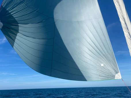 Le très beau spi :)